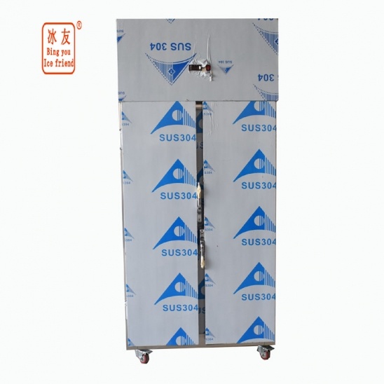 Hai cửa Hàng thép không gỉ Bếp thiết Bị đông lạnh 