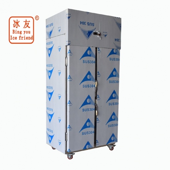 Hai cửa Hàng thép không gỉ Bếp thiết Bị đông lạnh 