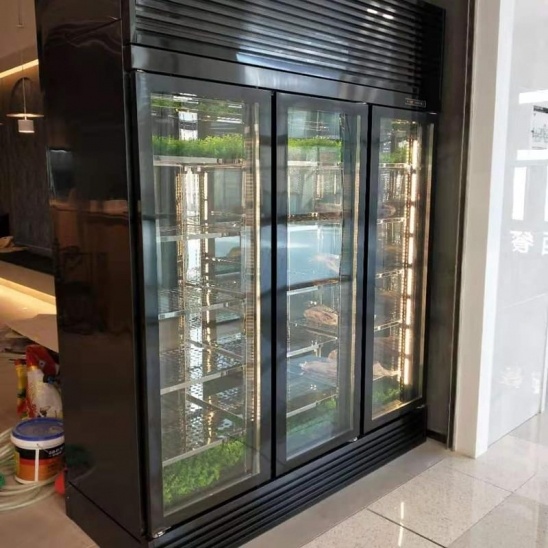 Ba cửa kính đen thép không gỉ thịt bò hiển thị nội các 