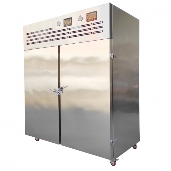 âm 40 độ C cửa đôi thương mại máy làm mát không khí tủ cấp đông nhanh bằng thép không gỉ 