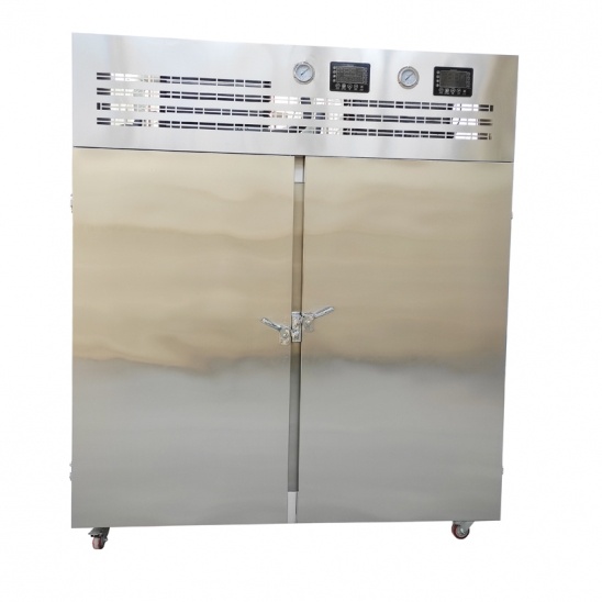 âm 40 độ C cửa đôi thương mại máy làm mát không khí tủ cấp đông nhanh bằng thép không gỉ 